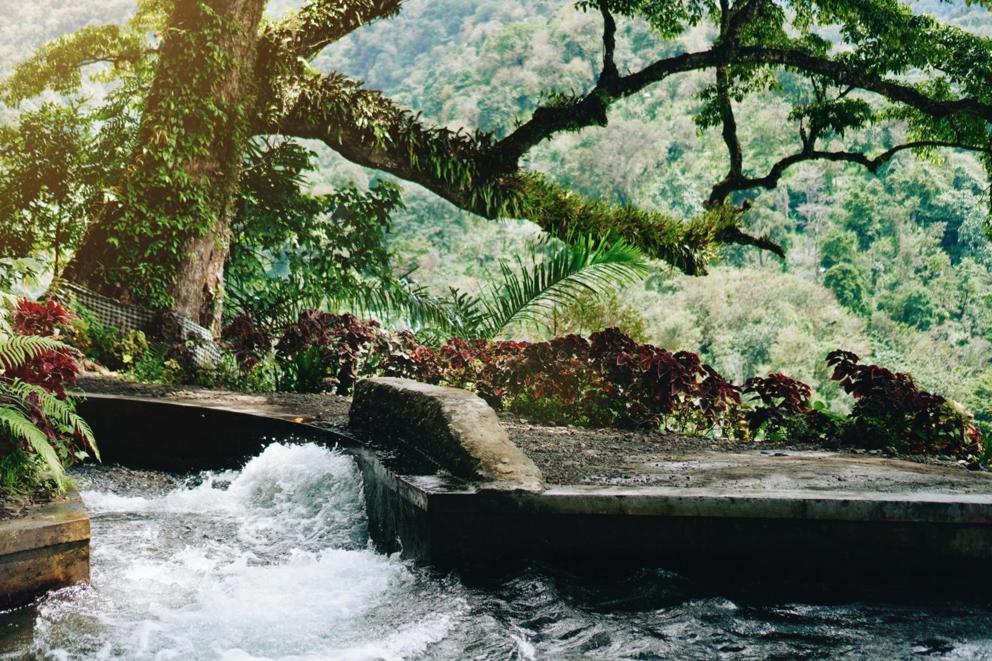 Maha Hills Resort By Mahaprana Experience Lovina Buitenkant foto